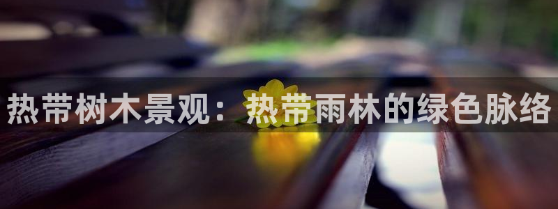 新宝gg维护:热带树木景观:热带雨林的绿色脉络