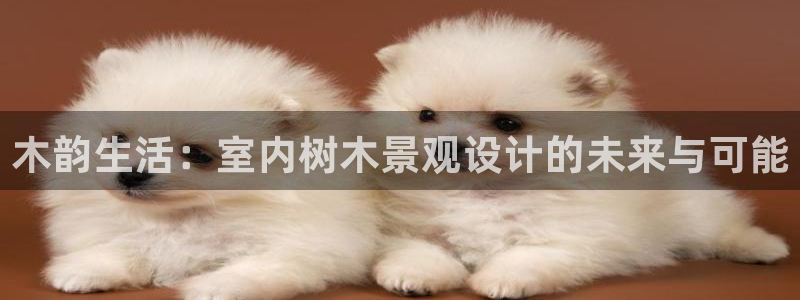 新宝gg -创造:木韵生活:室内树木景观设计的未来与可能