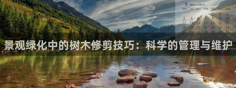 行新宝gg:景观绿化中的树木修剪技巧:科学的管理与维护