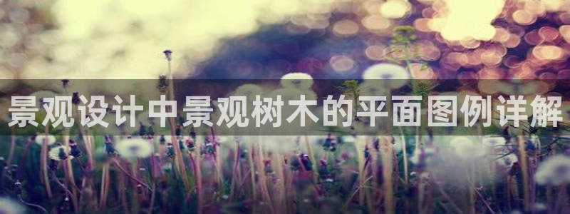 新宝GG类别78778:景观设计中景观树木的平面图例详解