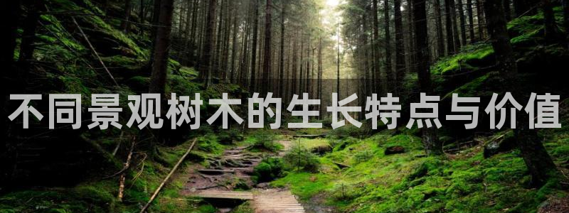 gg新宝时时彩:不同景观树木的生长特点与价值