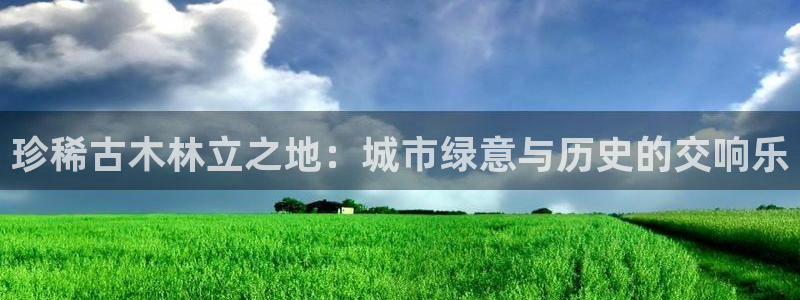 新宝GG都有哪些计划:珍稀古木林立之地:城市绿意与历史的交响乐
