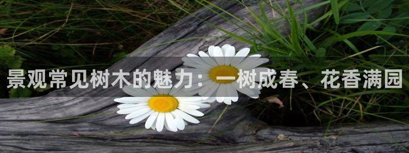 新宝gg集团:景观常见树木的魅力:一树成春、花香满园