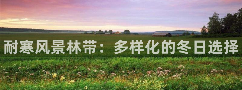 vip新宝gg:耐寒风景林带:多样化的冬日选择